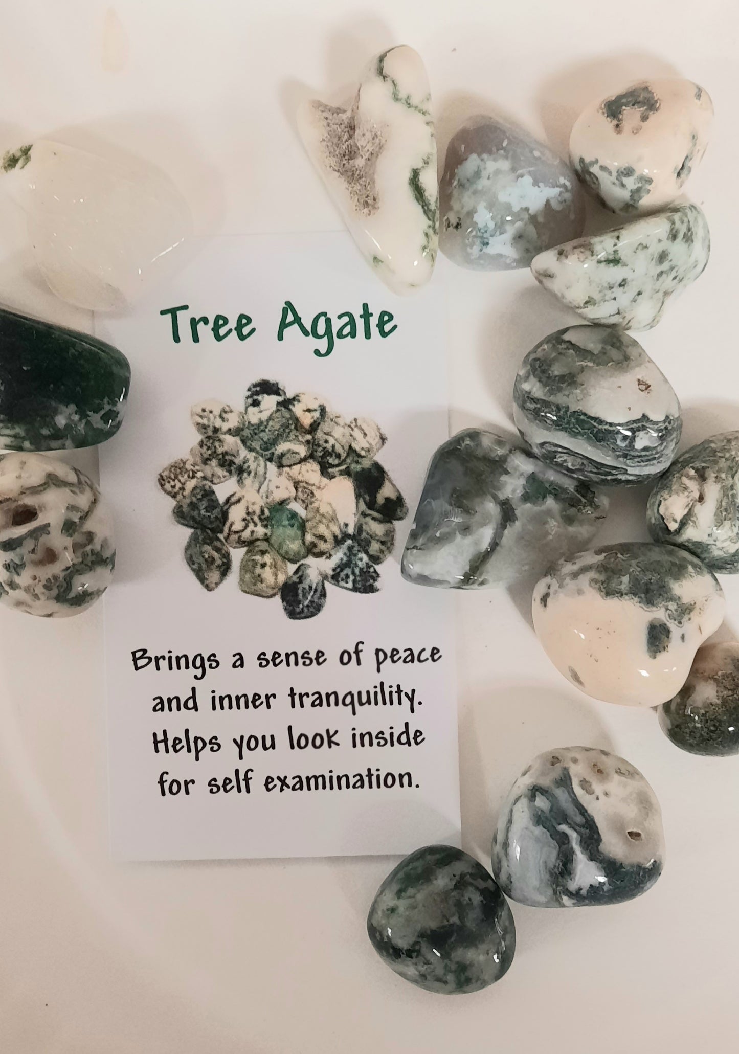 Tumble - Tree Agate