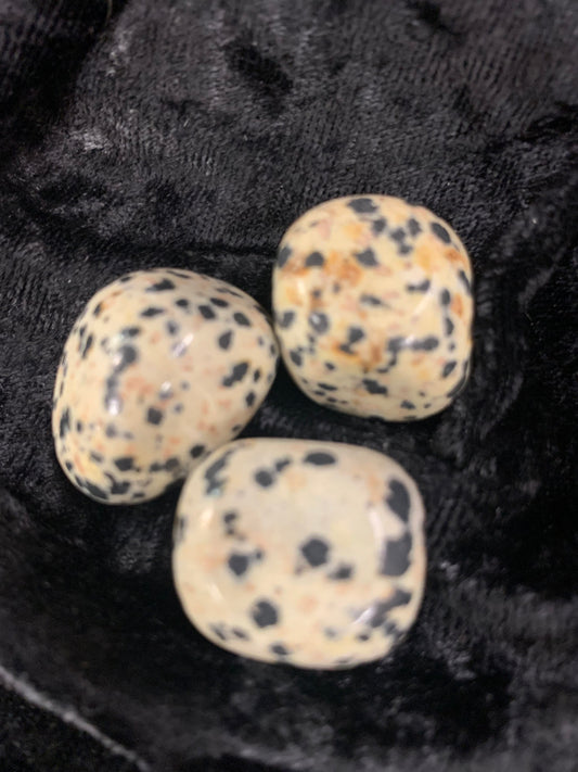 Dalmatian Jasper tumble